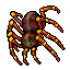 giant spider