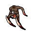 inverted woman