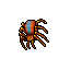 poison spider