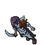 skeleton pirated