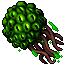 venom brood